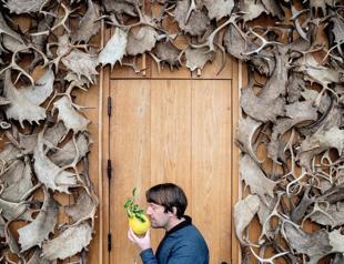 Question behind Noma controversy