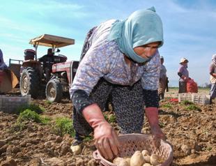 Unemployment in 2025 down to 8.3 percent, lowest in 21 years