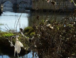 EU urged to broadly restrict forever chemicals