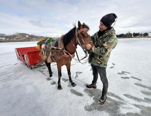 Horse-drawn sleigh season ends at Çıldır Lake as ice thaws