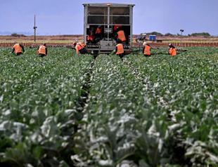 Iran war drives food price pressures in Türkiye and globally