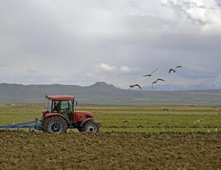 War puts Turkish farmers in a ‘low yield or high cost’ dilemma