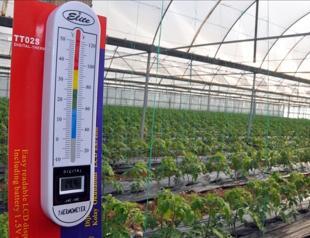 Agricultural frost risk raises concerns for food market