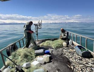Fishermen cast final nets in Van Lake ahead of seasonal fishing ban