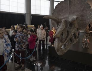 Biodiversity museum boosts science and tourism