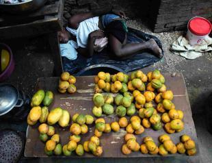 World Bank chief economist warns of hunger risk from war