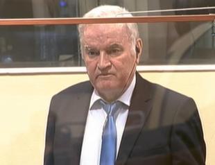 Butcher of Bosnia Mladic suffers stroke: Son