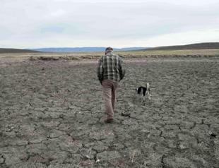Record US drought sparks worries about food prices