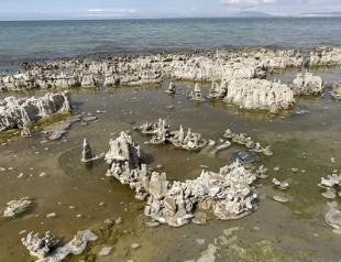 Van Lake microbialites advance in Guinness World Records bid