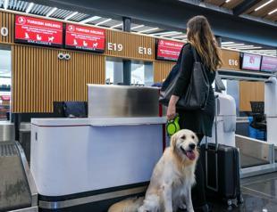 Türkiye targets booming pet-friendly tourism market to boost int’l growth