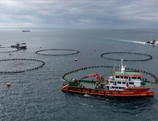 Türkiye targets $2.5 billion in seafood exports for 2026