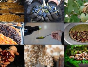 EU registration of Turkish geographical indications accelerates