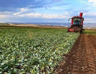 Mixed outlook for Turkish farmers following last year’s frost