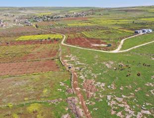 Japanese, Chinese archaeologists to join Neolithic digs