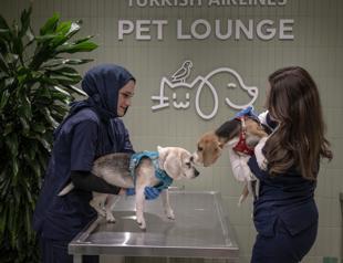 Turkish Airlines expands pet comfort at Istanbul Airport