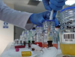 Chemical sector remains second‑largest exporter