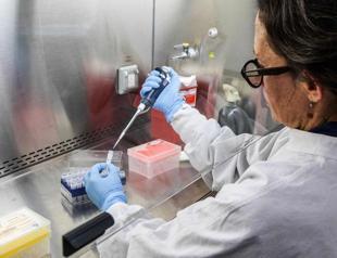 First hantavirus infection could not have been during cruise: WHO expert