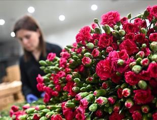 Mother’s Day to drive $9 bln in e-commerce volume