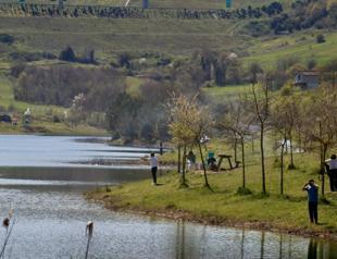 Scenic old road emerges as alternative spring route for nature lovers