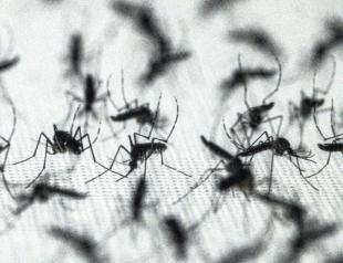 Mosquitoes prefer some people over others