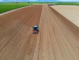 Agricultural production will recover this year, says Minister