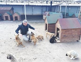 Nevşehir animal town rehomes 150 dogs this year