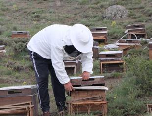 Migratory beekeepers launch honey season on Yozgat plateau
