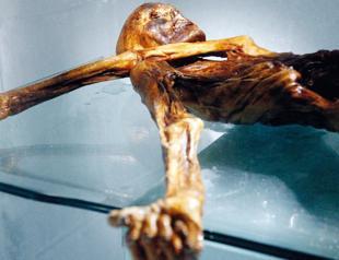 Scientists find yeast in ancient icemans guts and make bread
