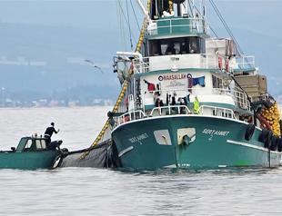 Türkiye launches action plan against illegal fishing