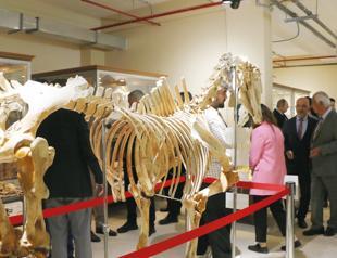 Zoology Museum reopens to visitors