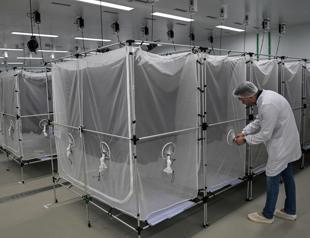 Brazil suspends dengue vaccine following two deaths