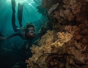 Turkish free diver raises awareness for coral reefs on World Oceans Day