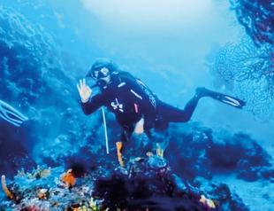 Ayvalık reopens famed Byzantine wreck to divers