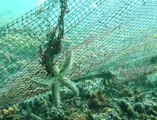 95 football fields’ worth of ghost nets removed from Marmara Sea