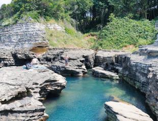 Blue-green Lily Trail awaits nature lovers