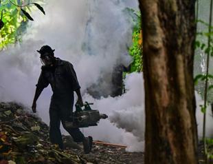 Sri Lanka troops to battle dengue mosquitoes