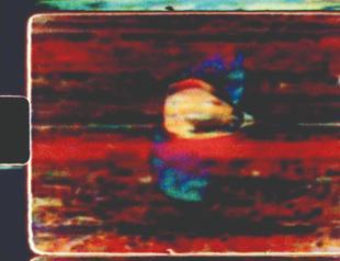 Salt Beyoğlu screenings to examine link between cinema, nature