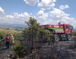Winter rains delayed Türkiye’s wildfire season but expert warns risk persists