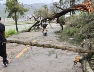 Typhoon makes landfall in China, downgraded to severe tropical storm