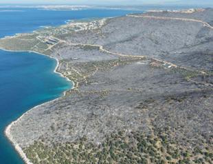 Wildfire in Muğla largely contained after forcing precautionary evacuations
