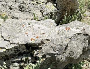 Runic inscription found at Binbir Church site