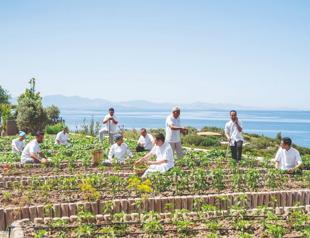 What happens when seafood restaurant decıdes to save sea