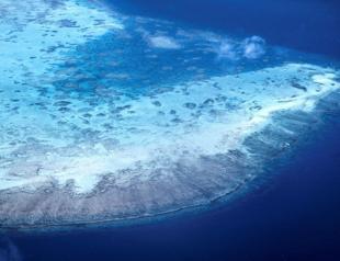 Great Barrier Reef at risk of ‘collapse,’ scientists warn