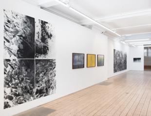 Vision Art Platform presents ‘Botanicals’ in London
