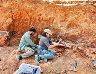 Millions of years old fossils shed light on prehistoric life