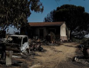 Livestock farmers fear for their livelihoods as wildfires ravage Spain
