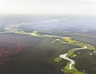 UN lists South Sudan antelope route as heritage in danger