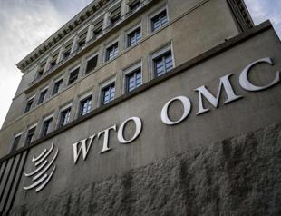 WTO sides with China over Türkiye in electric car trade case