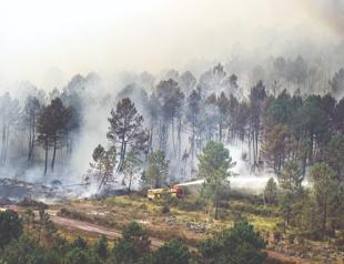 Rain dampens the France fire, as Spain reports almost no flames