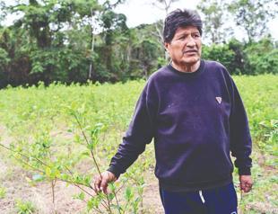 Bolivia prosecutor orders arrest of Morales